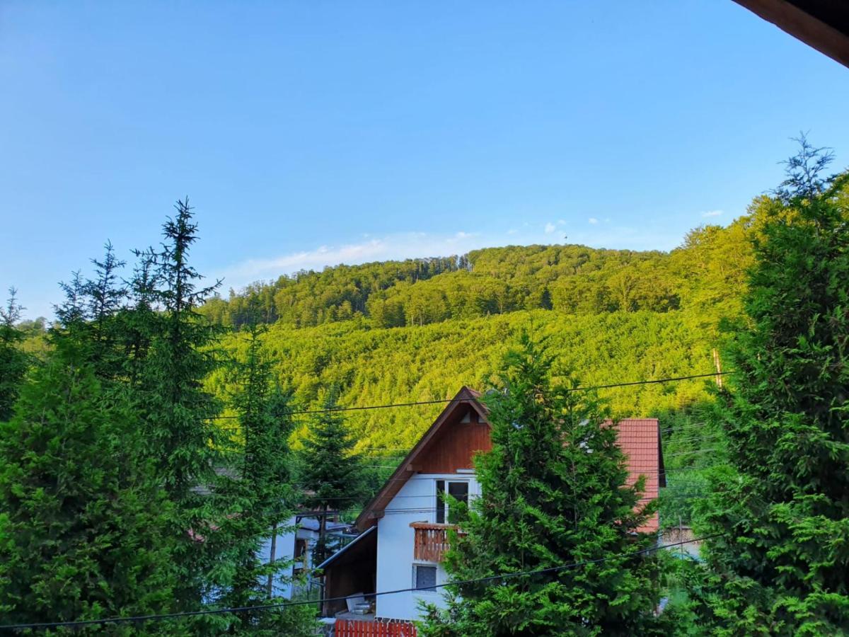 Vila Luca'S Cîrţişoara Dış mekan fotoğraf