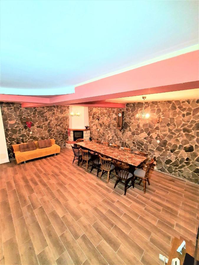 Vila Luca'S Cîrţişoara Dış mekan fotoğraf