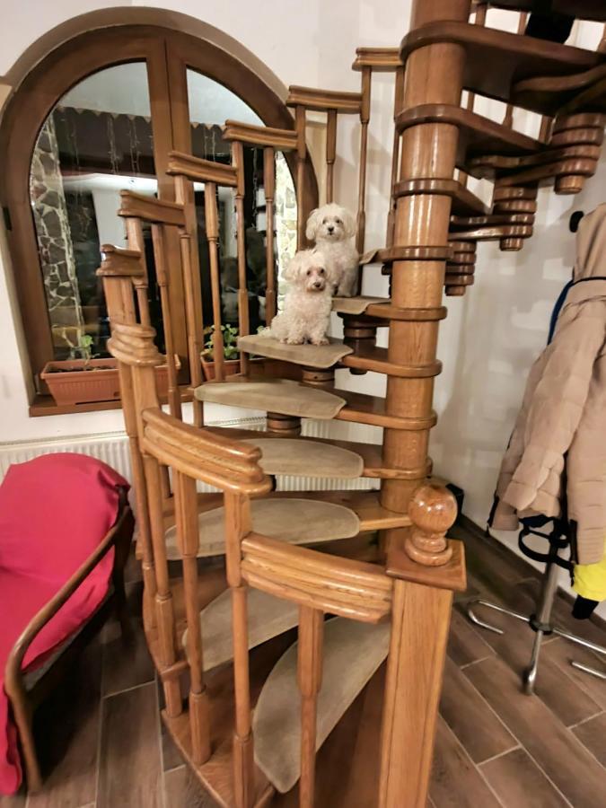 Vila Luca'S Cîrţişoara Dış mekan fotoğraf