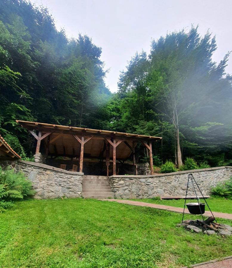 Vila Luca'S Cîrţişoara Dış mekan fotoğraf