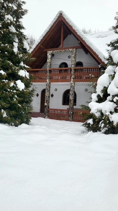 Vila Luca'S Cîrţişoara Dış mekan fotoğraf